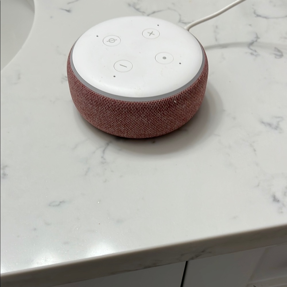 Pink echo dot